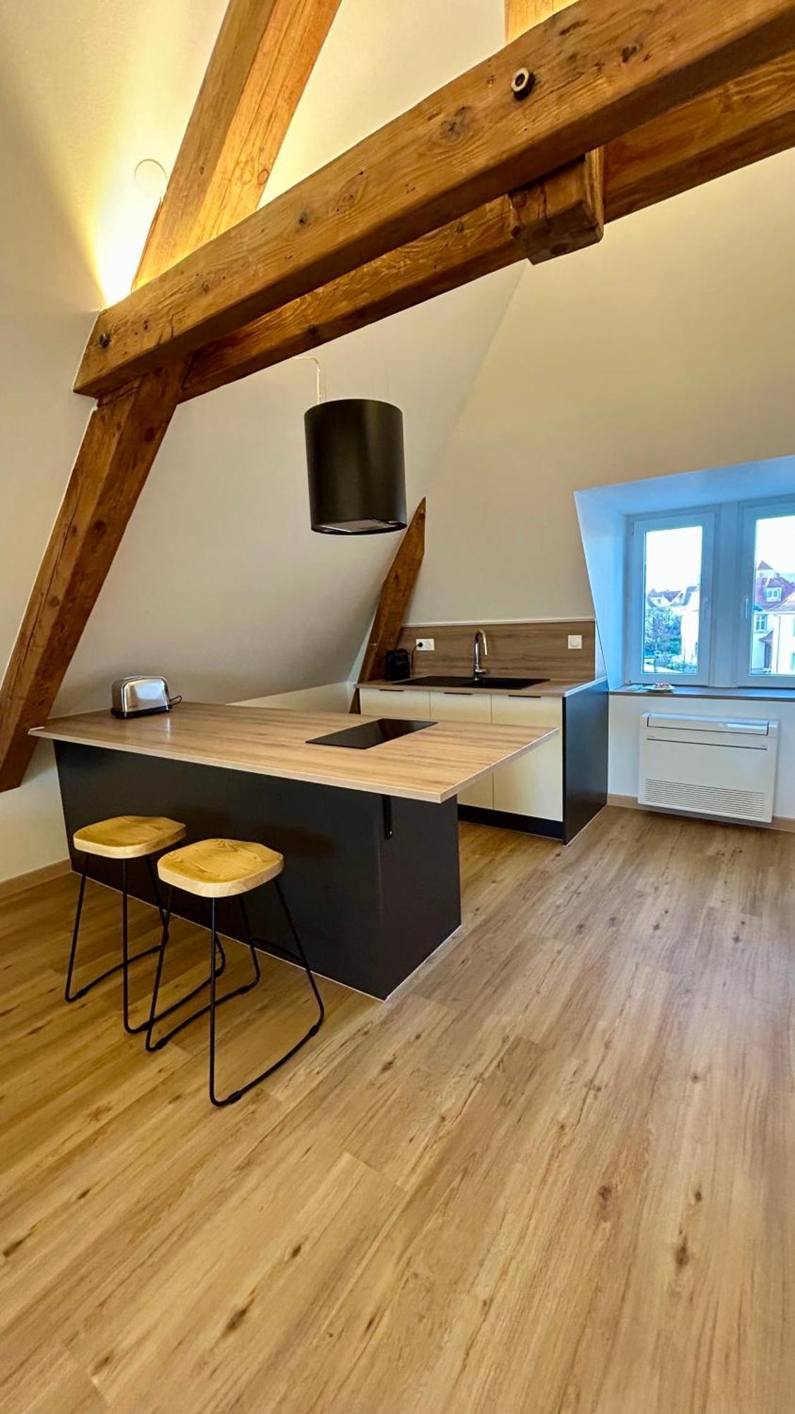 Appartement Moderne Et Spacieux, A 10 Min De La Gare กอลมาร์ ภายนอก รูปภาพ