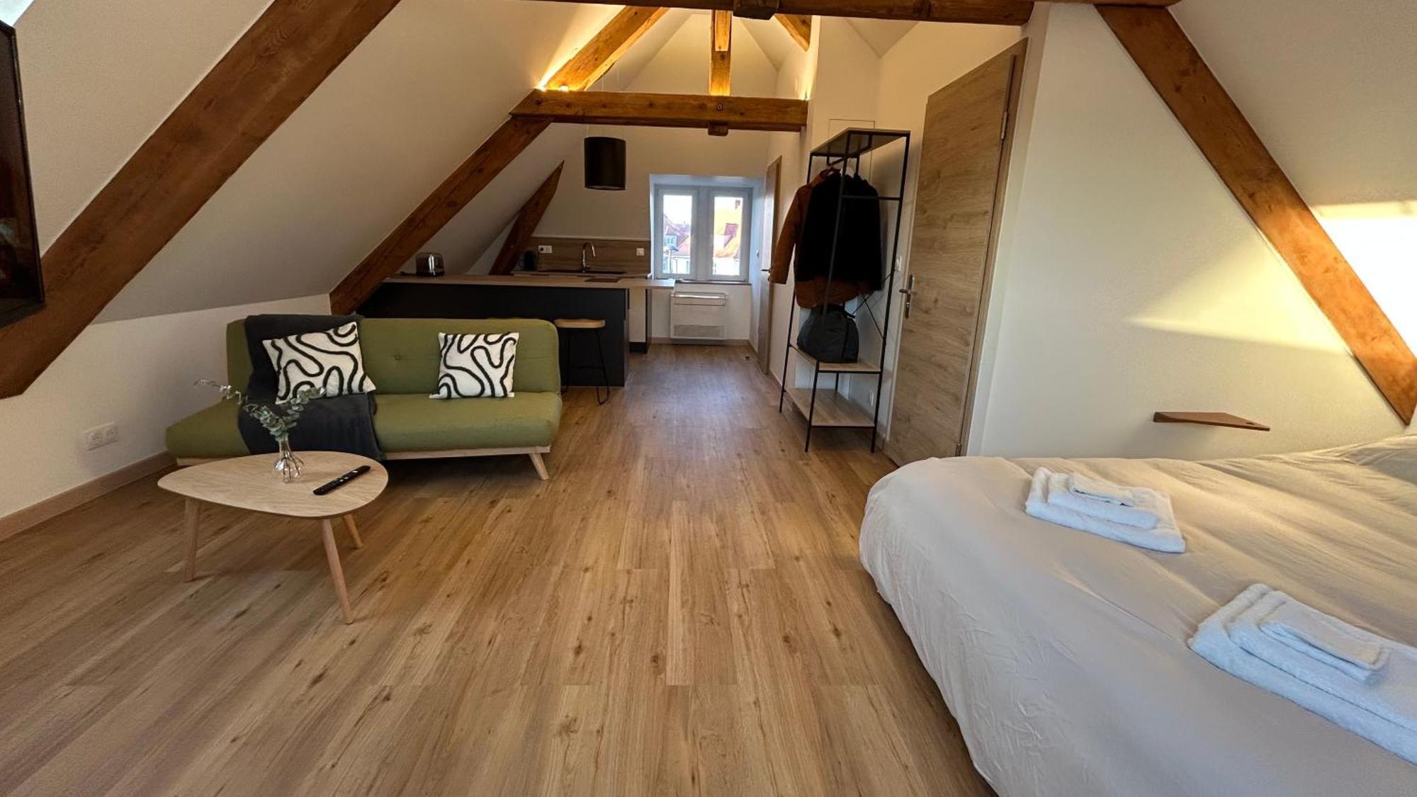 Appartement Moderne Et Spacieux, A 10 Min De La Gare กอลมาร์ ภายนอก รูปภาพ