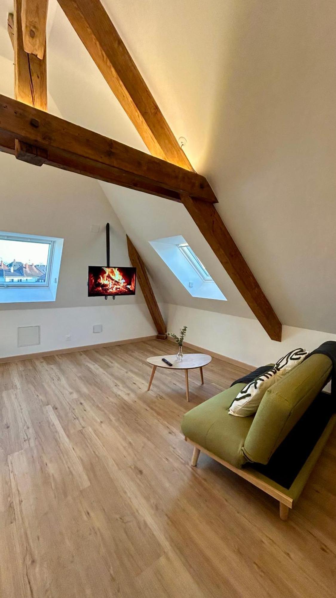 Appartement Moderne Et Spacieux, A 10 Min De La Gare กอลมาร์ ภายนอก รูปภาพ
